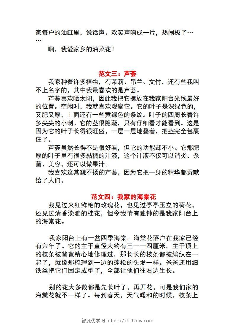 图片[2]-三年级语文下册1-8单元作文范文-智源优学网