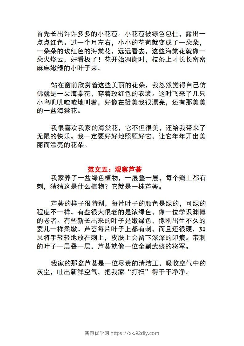 图片[3]-三年级语文下册1-8单元作文范文-智源优学网