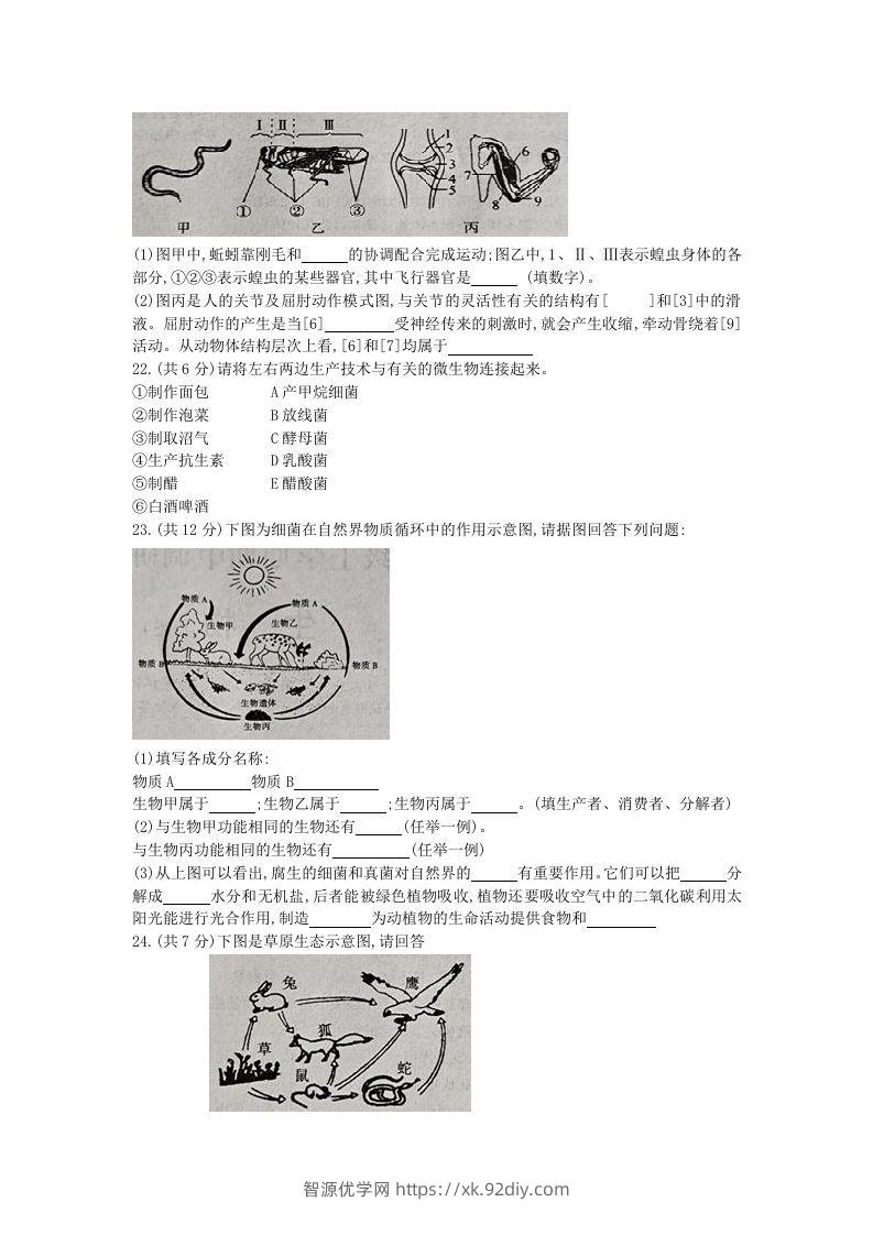 图片[3]-2020-2021学年河南省新乡市卫辉市八年级上学期期中生物试题及答案(Word版)-智源优学网
