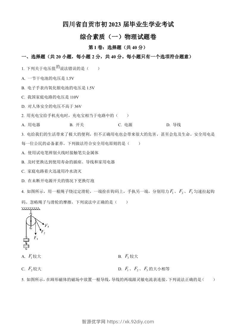 2023年四川省自贡市中考物理试题（空白卷）-智源优学网