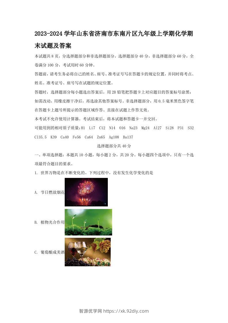 2023-2024学年山东省济南市东南片区九年级上学期化学期末试题及答案(Word版)-智源优学网