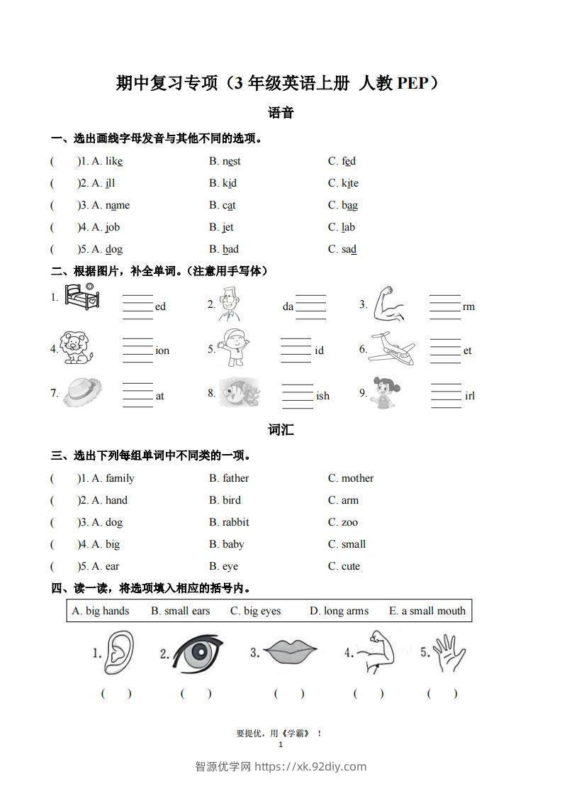 期中复习专项（三上英语人教版）-智源优学网