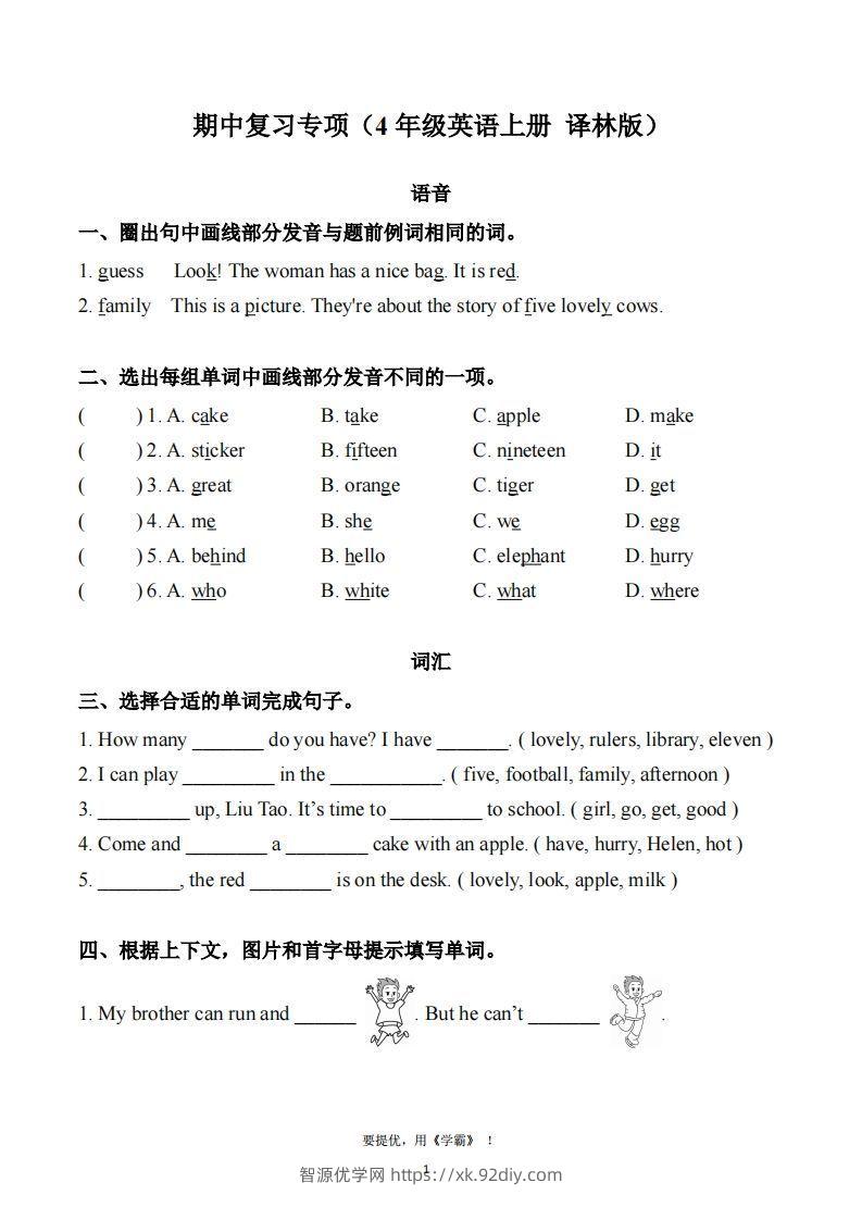 期中复习专项（四上英语译林版）-智源优学网