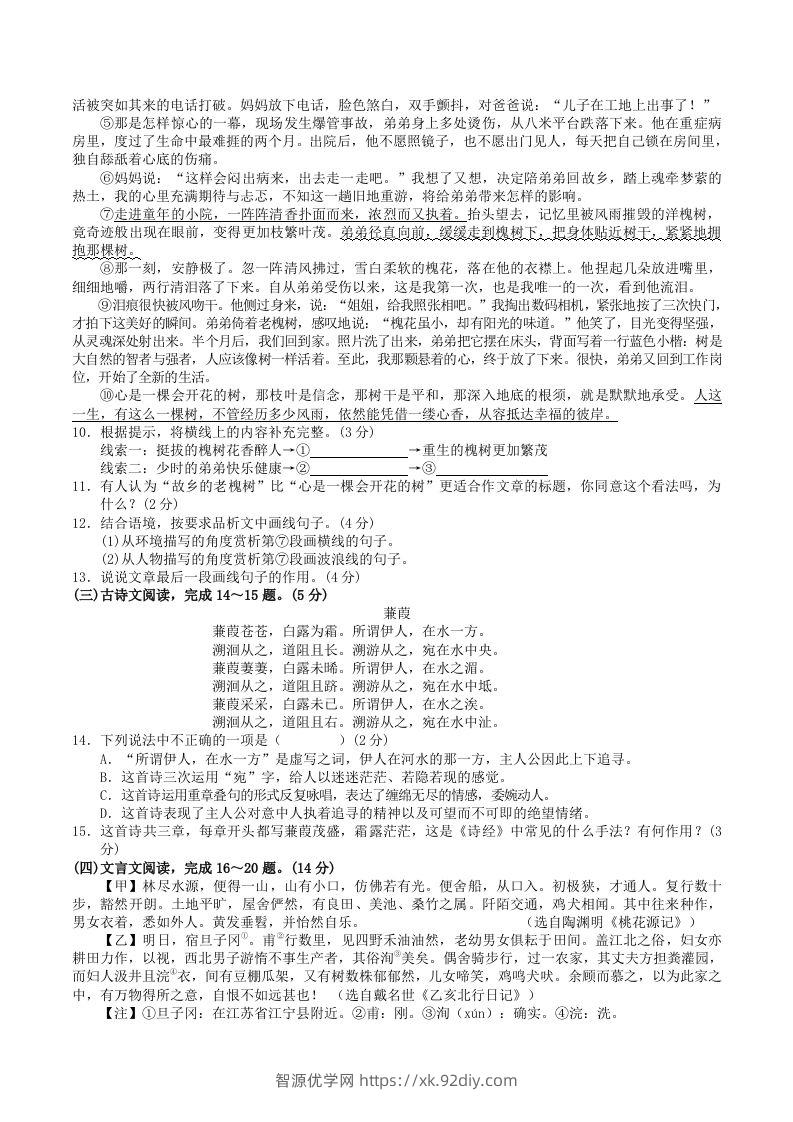 图片[3]-2023-2024学年广西河池市宜州区八年级下学期期中语文试题及答案(Word版)-智源优学网