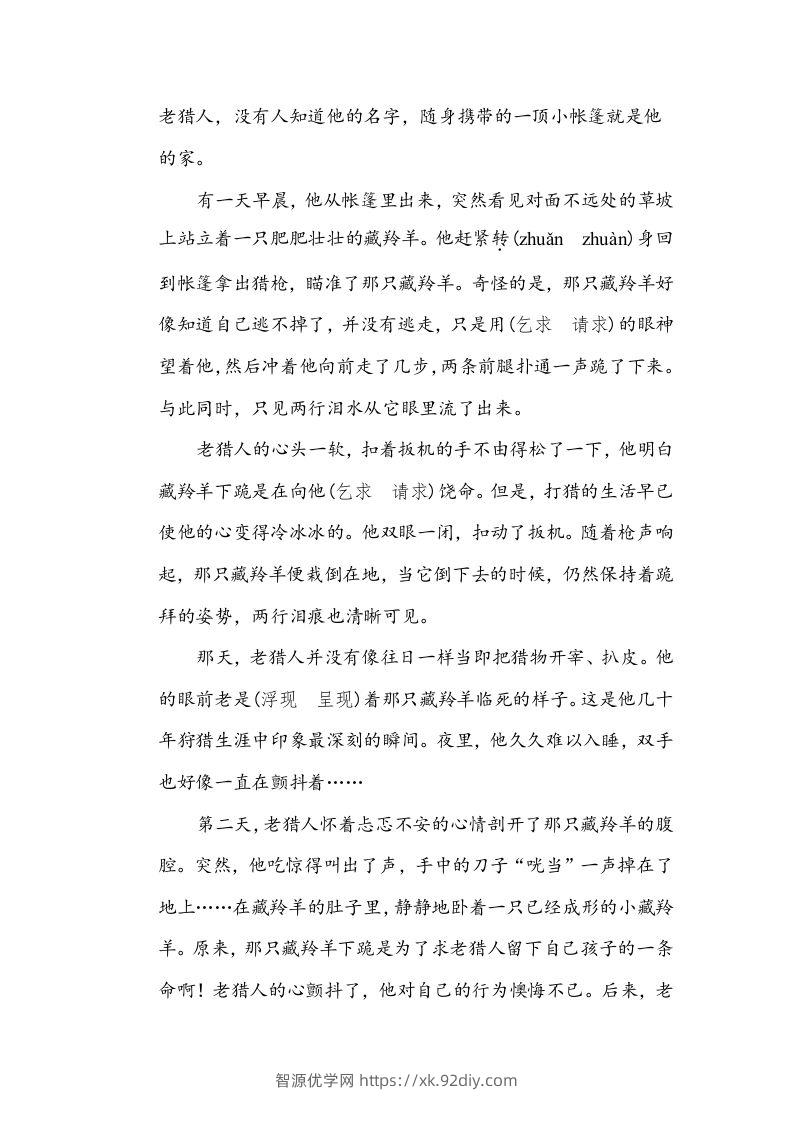 图片[3]-五年级语文下册近义词、反义词（部编版）-智源优学网