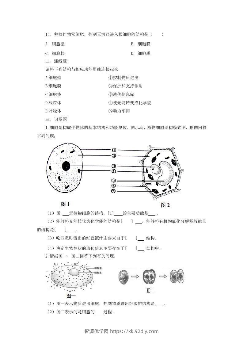 图片[3]-七年级上册生物第二单元第一章第四节试卷及答案(Word版)-智源优学网