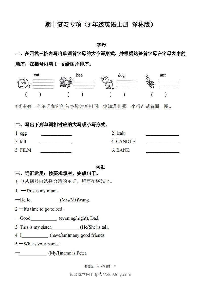 期中复习专项（三上英语译林版）-智源优学网