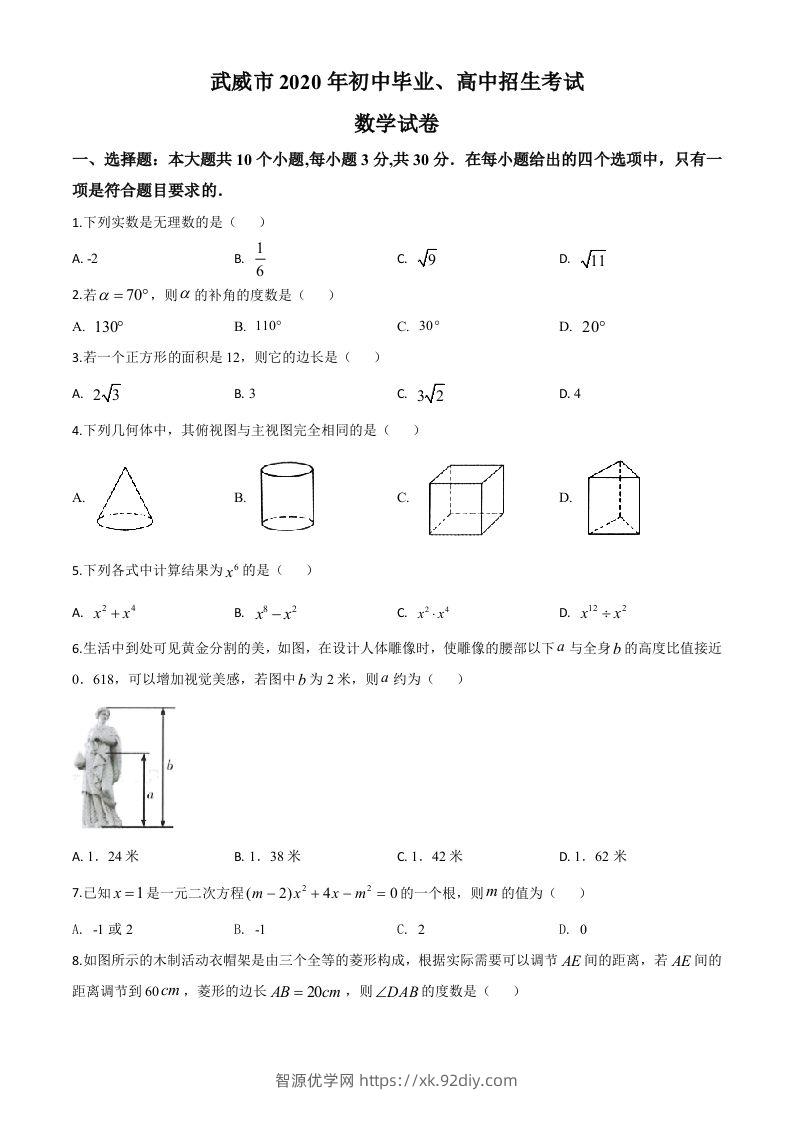 甘肃省武威市2020年中考数学试题（空白卷）-智源优学网