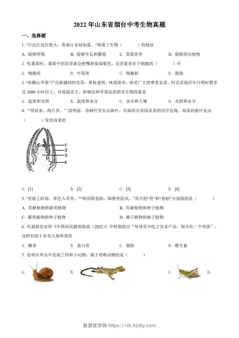 2022年山东省烟台中考生物真题（空白卷）-智源优学网