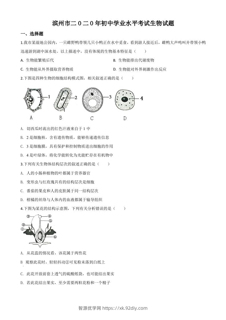山东省滨州市2020年中考生物试题（空白卷）-智源优学网