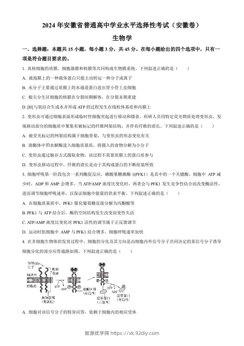 2024年高考生物试卷（安徽）（空白卷）-智源优学网