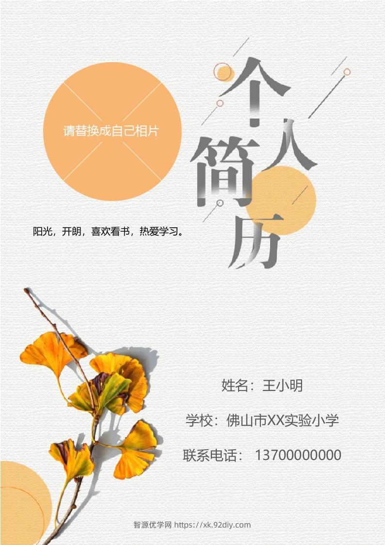 多页-小升初简历90-智源优学网