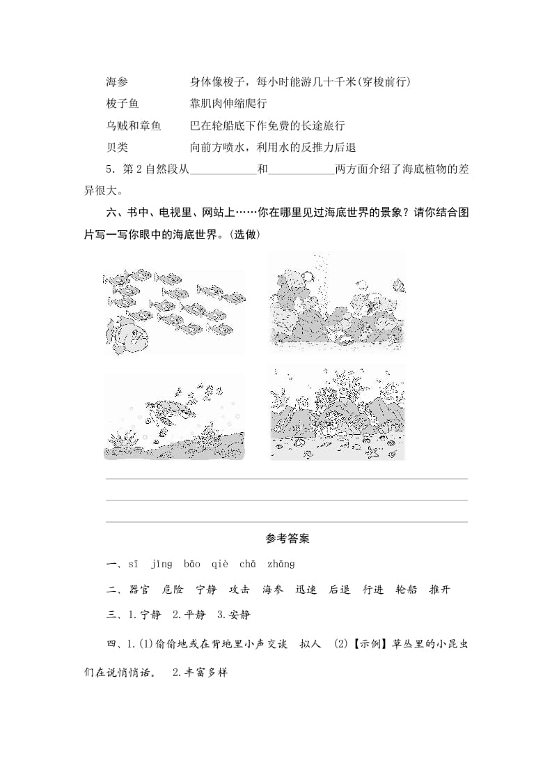 图片[3]-三年级语文下册23海底世界-智源优学网