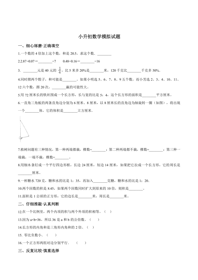 六年级数学下册小升初模拟试题（19）苏教版（含解析）-智源优学网