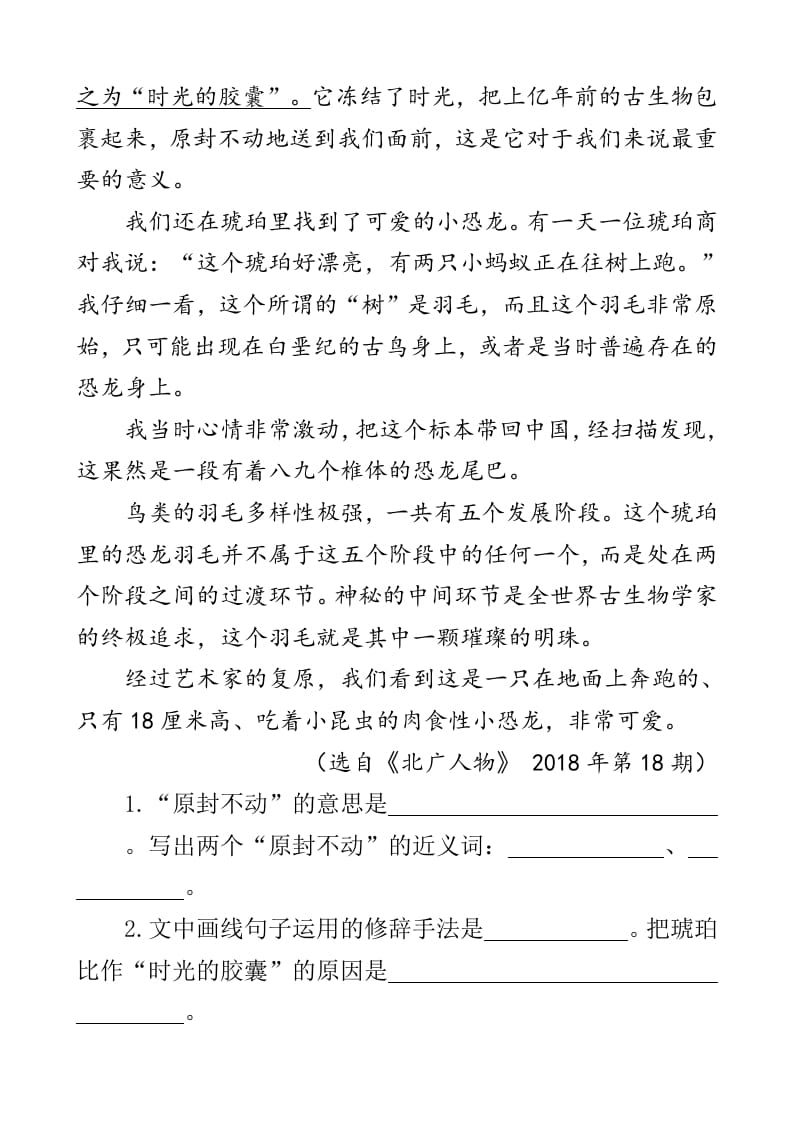 图片[3]-四年级语文下册类文阅读-5琥珀-智源优学网