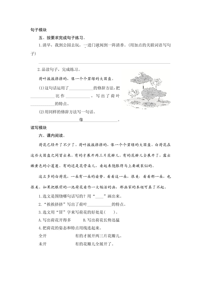 图片[2]-三年级语文下册3荷花-智源优学网