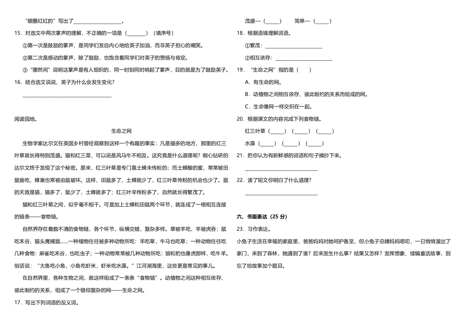 图片[3]-三年级语文上册（期末测试题）版（部编版）-智源优学网
