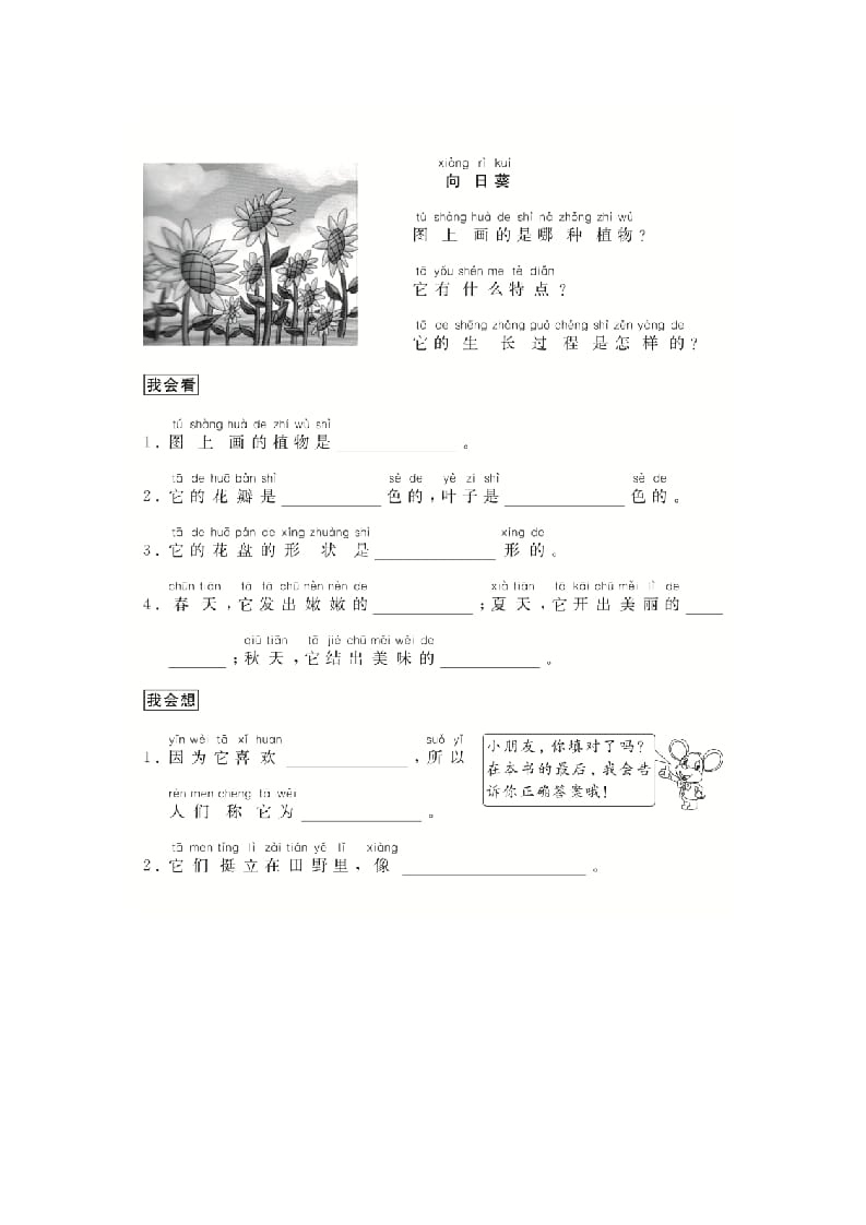 图片[2]-二年级语文上册（跟我学写话）写物（5篇）（部编）-智源优学网