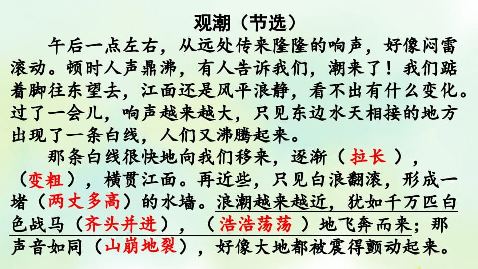 图片[3]-四年级语文上册专项7阅读指导复习课件-智源优学网